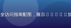 8x8x8x安全访问指南配图，展示HTTPS加密连接验证方法